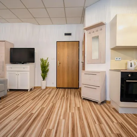 公寓 Karkonoska Skalka 卡尔帕奇